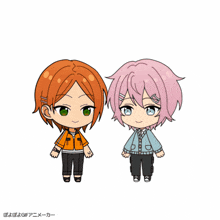 two anime characters are standing next to each other and one has orange hair and the other has pink hair and green eyes