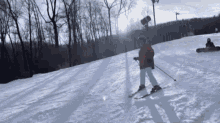 Skiing GIF