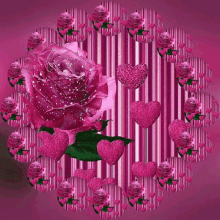 Rose Flower GIF - Rose Flower Sparkle GIFs