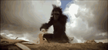 GIF