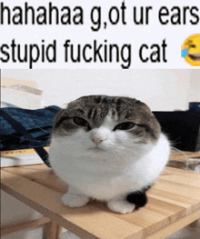 Ears Cat Meme