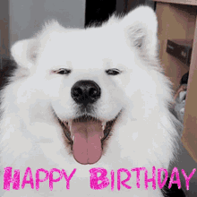 Happy Birthday Dog GIFs | Tenor