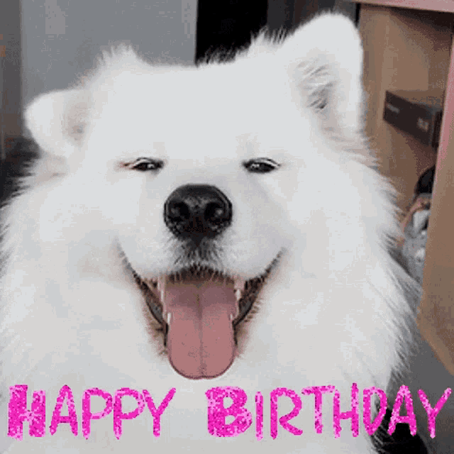 Happy deals birthday samoyed