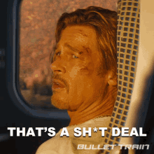 Thats A Shit Deal Ladybug GIF - Thats A Shit Deal Ladybug Brad Pitt GIFs