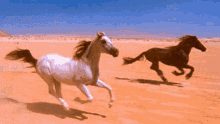 Horse Run GIF - Horse Run Free GIFs