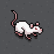 Rat Tuber Rat GIF - Rat Tuber Rat Simulator Rat GIFs