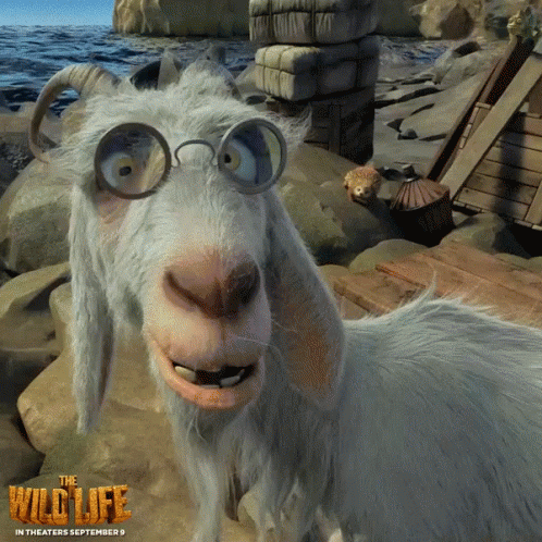 [Image: goat-the-wild-life.gif]