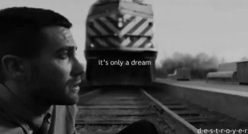 train-only-a-dream.gif