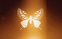 Butterfly Kara No Kyokai GIF - Butterfly Kara No Kyokai The Garden Of Sinners GIFs