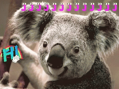 Hi Koala GIF - Hi Koala Cute Animals - Discover & Share GIFs