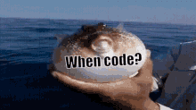 When Code Fish GIF - When Code Fish Warsaken GIFs