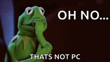 kermit the frog is thinking and covering his mouth with his hand while holding his hand to his chin .