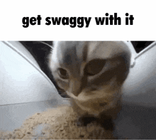Get Swaggy With It Get Jiggy With It GIF