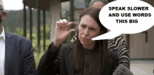 a speech bubble says speak slower and use words this big