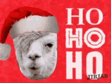 Christmas Holiday GIF - Christmas Holiday Hohoho GIFs