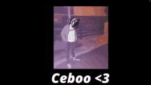 Ceboo Go GIF - Ceboo Go GIFs