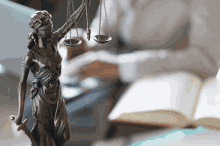 Litigation Lawyers In Sydney GIF
