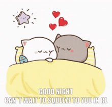 a couple of cats laying in bed with hearts flying around them and the words good night can 't wait to squeeze to you in