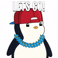 lets go hype penguin now letsgo