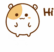 hamster cute hi hello jump