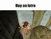 a screenshot of a video game with the words hop on lotro