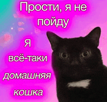 a black cat with a white spot on its chest is sitting in front of a pink background with russian writing .
