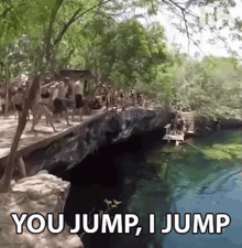 You Jump Jump GIF - You Jump Jump Leap GIFs