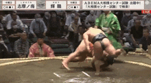 Kiho Sumo Wrestler GIF - Kiho Sumo Wrestler Sumo GIFs