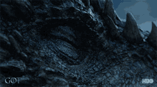 Got Game Of Thrones GIF - Got Game Of Thrones Dragon GIFs