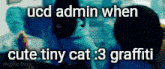 a blue background with the words ucd admin when cute tiny cat 3 graffiti