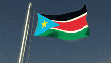 a blue red and green flag with a yellow star in the middle