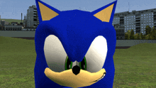 a close up of a sonic the hedgehog 's face in a video game