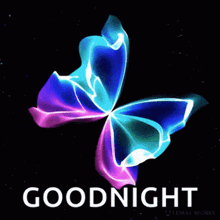 Blue Butterfly Goodnight GIF