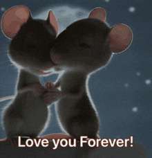 Mice In Love GIF - Mice In Love I Love You GIFs