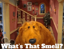Bear Inthe Big Blue House Whats That Smell GIF - Bear Inthe Big Blue House Whats That Smell Smell GIFs