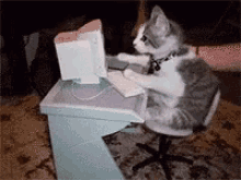 Gif Cats GIF - Gif Cats Typing GIFs