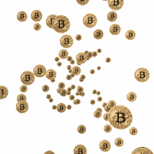 investor bitcoinsallday