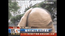 曬太陽 Bask Tvbs News Taiwan GIF - 曬太陽bask GIFs