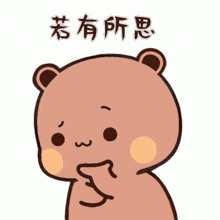 a teddy bear with chinese writing on it