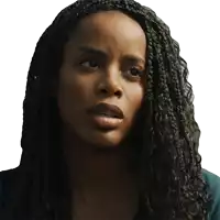 a woman with braided hair is looking at the camera