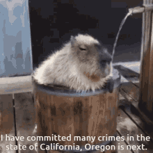 Committed Crimes GIF - Committed Crimes Many GIFs