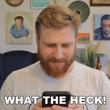 What The Heck Grady Smith GIF - What The Heck Grady Smith What The Hell GIFs