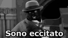Gatto Nero Eccitato Non Vedo L'Ora GIF - Black Cat Cant Wait Excited GIFs