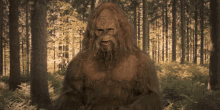 Bigfoot What GIF - Bigfoot What Confused GIFs