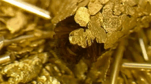 Gold GIF - Gold Golden Bug GIFs