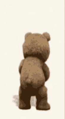 Bear Porn Gif
