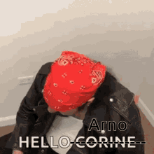 Helloarno Hello Grono GIF - Helloarno Hello Grono Arno GIFs