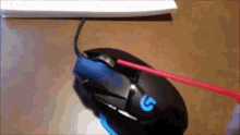 Mouse GIF - Mouse GIFs