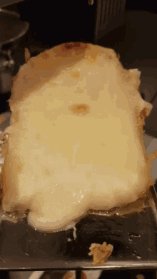Raclette Cheese GIF