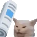 a cat is standing next to a remote control and looking at the camera .